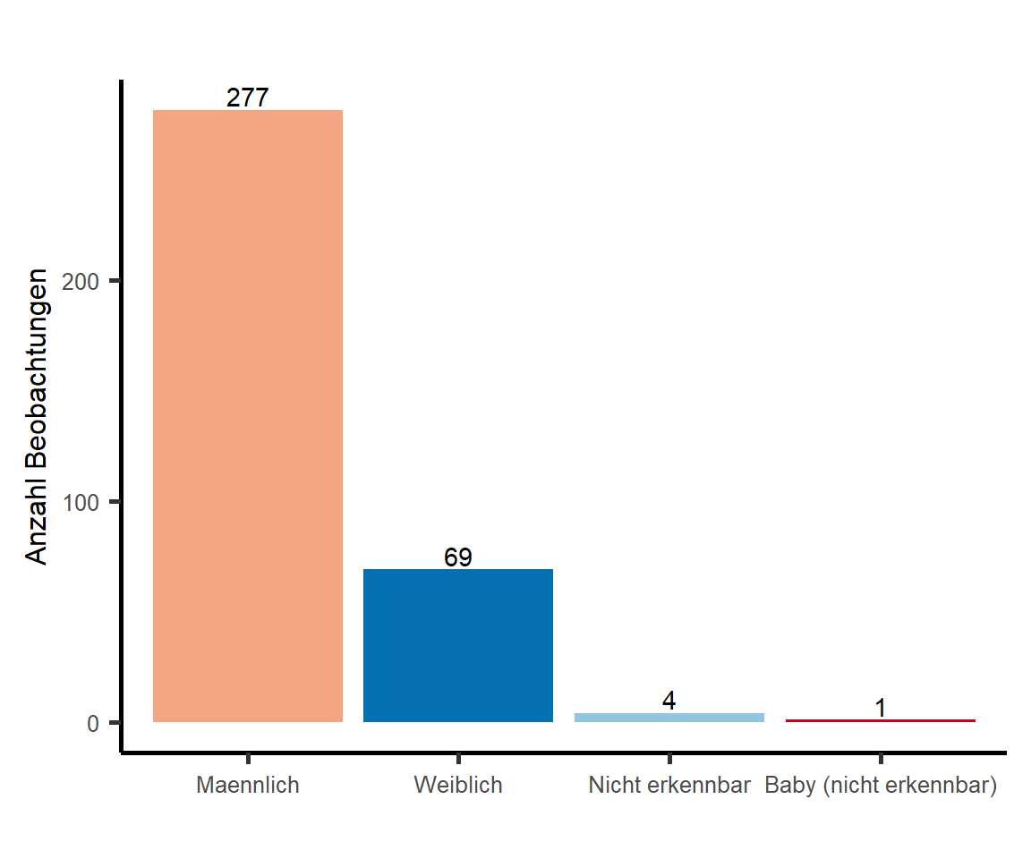 Geschlechterverteilung der Einzelpersonen